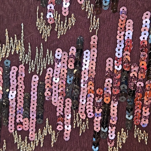 Maroon Beaded Sheath Dress with Sequins - Picture 4 of 4